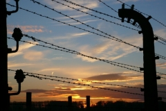 Auschwitz Birkenau