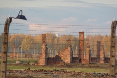 Auschwitz-Birkenau