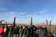 Auschwitz-Birkenau 2016